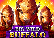 Big Wild Buffalo slot